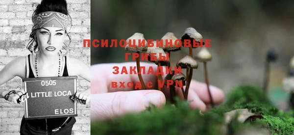 PSILOCYBIN Карпинск