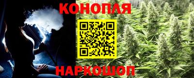 прущие грибы Камышлов