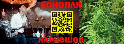 прущие грибы Камышлов