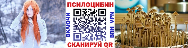 где купить   Лобня  Псилоцибиновые грибы мицелий 